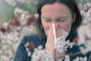 Tree pollen allergy in springtime concept